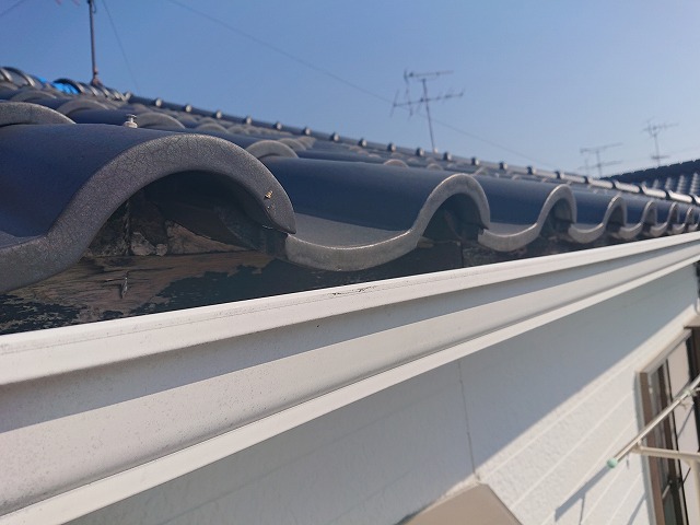 補修が推奨される雀口